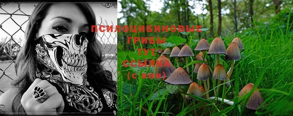 МДМА Кукмор