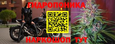 гашишное масло Гусь-Хрустальный