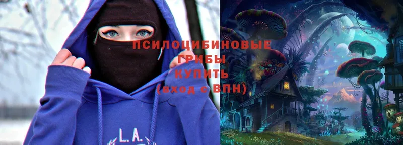 блэк спрут онион  Октябрьский  Галлюциногенные грибы Magic Shrooms 