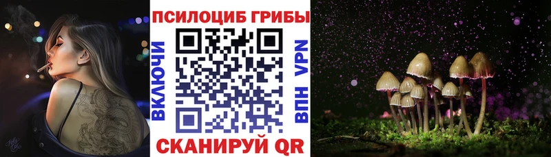 Галлюциногенные грибы MAGIC MUSHROOMS  Октябрьский 