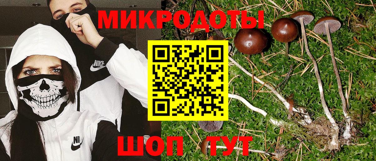 Псилоцибиновые грибы Psilocybine cubensis  цена наркотик  Октябрьский  Вход с VPN 