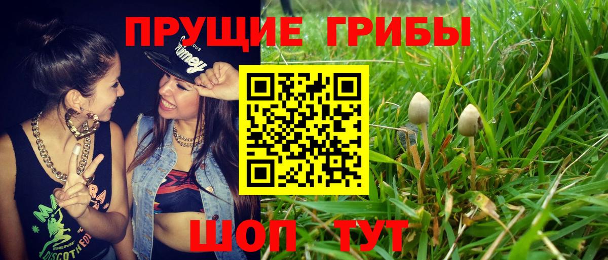 Псилоцибиновые грибы Magic Shrooms  Октябрьский 
