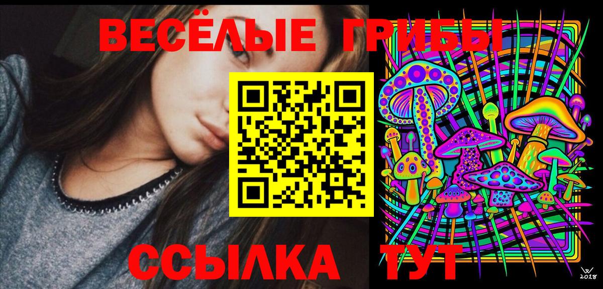Псилоцибиновые грибы мухоморы Октябрьский